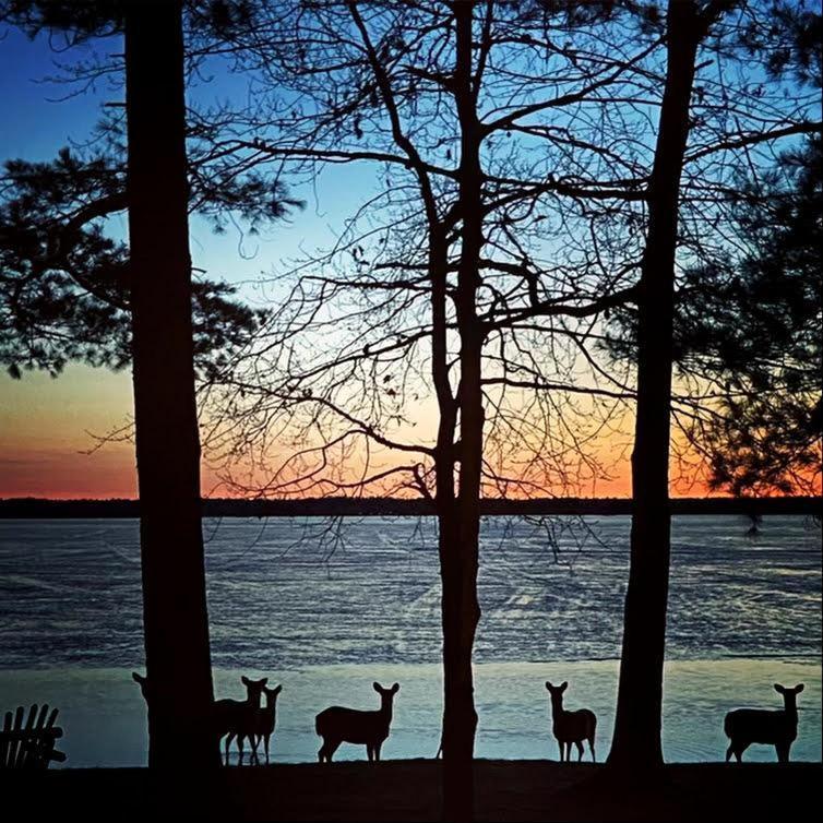 Вилла Deer Run Unit #2 Saint Germain Экстерьер фото